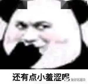  no.2在北理珠什么专业的男生最适合交往