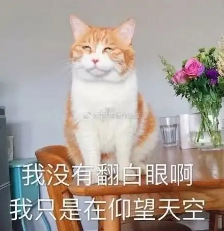  是时候证明妹妹们的清白了