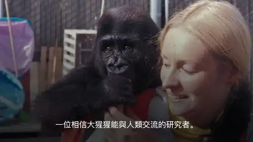  大猩猩手语奇缘揭秘学习之旅