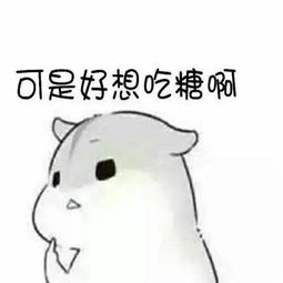 你消失了吗表情包小仓鼠
