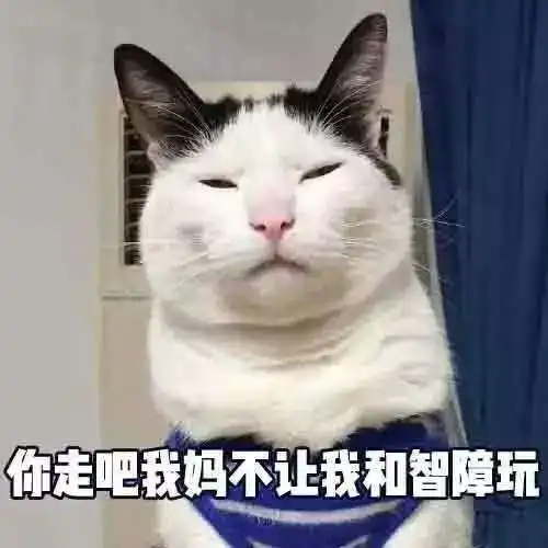  猫咪搞怪高清表情包