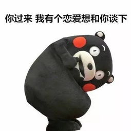 lapinfee兔熊表情包还是想你
