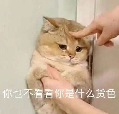 中午好表情包来了有个小鱼表情有点吓人 中午好表情包来了有个小鱼表情有点吓人