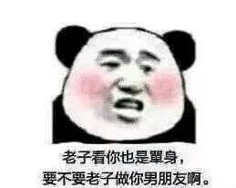  微信斗图表情包土味情话熊猫头微信恶搞
