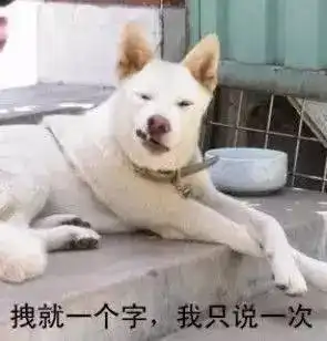  当年火爆一时的qq签名,能看懂的90后都老了