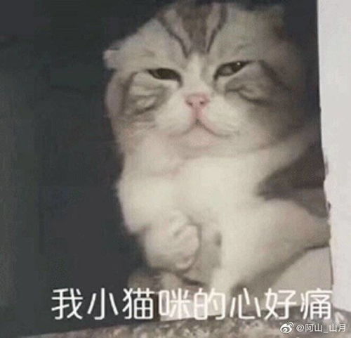  求小小金手指的种田文类似权臣的佛系娇妻的那种