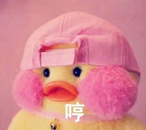  一组超萌的可爱表情包哼,我超凶的