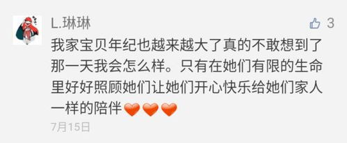  我的表情包去世了,楼楼再见
