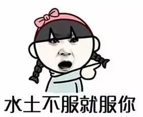  夸人的表情包大哥,你是这个