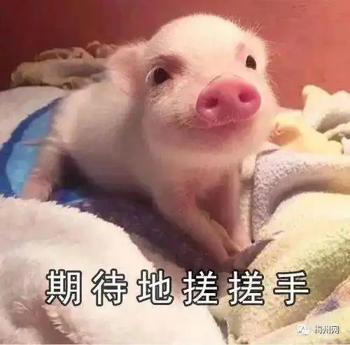 寒五华最低11c放假通知来了...  寒五华最低11c放假通知来了...