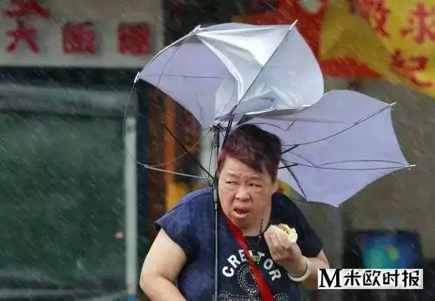  中国奶奶拿lv购物袋装鱼称赞其防水,我倒觉得做得很对