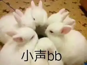  微信qq斗图表情包搞笑表情包