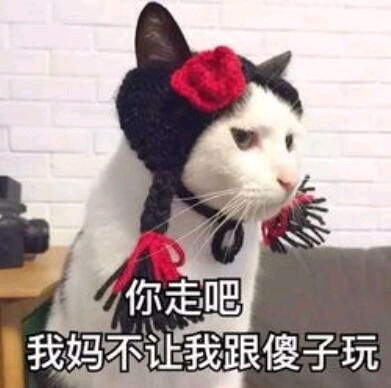  当文科生和理科生聊天时,画面能有多尴尬着急都急不到一块去