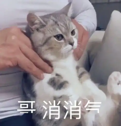  好好学习不如报考男德学院从此走上人生巅峰
