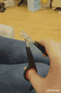 爆笑gif动态图孝顺挺好,可泡脚需谨慎呀 爆笑gif动态图孝顺挺好,可泡脚需谨慎呀