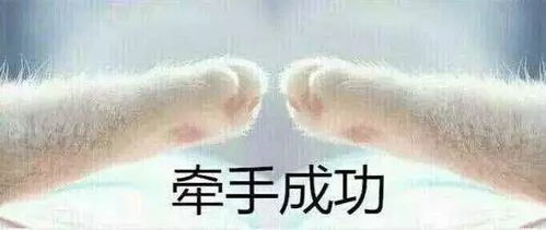  你看到复旦人背后的锅了吗