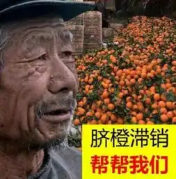  我就是管不住我这双手啊轻松一刻12月10日周末版