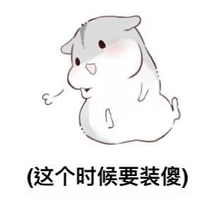  仓鼠表情包可以带我一起玩嘛