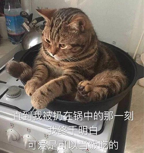  怎么给一句话配可爱背景图