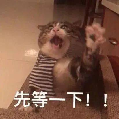  大连街头一女子在前跑我没被洗脑,一民警在后追我是真警察