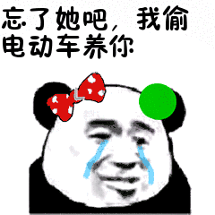  忘掉他吧我偷电动车养你忘了他吧我偷电动车养你表情包下载乐游网游戏下载