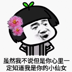  我不管我就是小仙女表情图