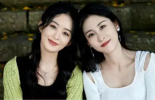  赵丽颖现身张碧晨演唱会,拿近5万相机水平遭嘲,姐妹情深惹人羡