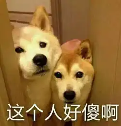  有一种沙雕生物,叫做室友