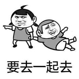  处好室友关系很重要表情包