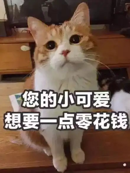  双十一来袭你的钱包和脑子准备好了吗