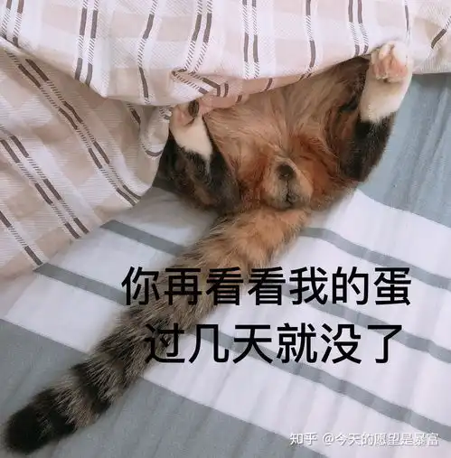 猫咪阉割后是不是就没有蛋蛋了  猫咪阉割后是不是就没有蛋蛋了