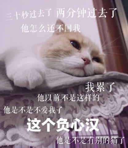  这表情包十分狠毒啊我是小朋友,不开心会死掉的