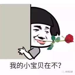  我胡汉三又回来啦十七期