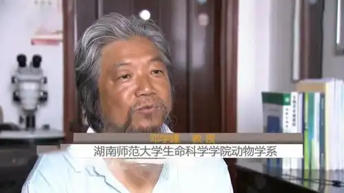  12年湖南民警到餐厅吃饭,服务员表情怪异引怀疑,调查后抓捕46人