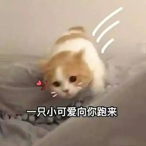  投影仪真的是卧室氛围感必备啊