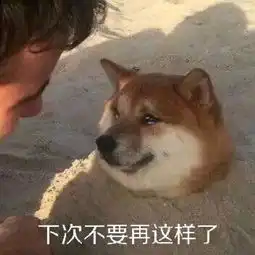  女朋友vs球鞋,对不起,我选鞋...