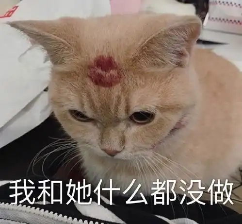  沙雕表情包头像
