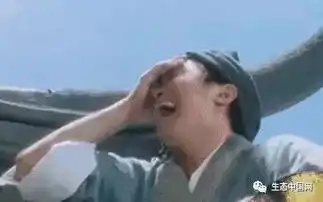  小区都禁止养狗了不要让你的爱犬无家可回