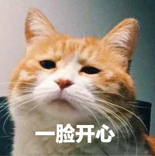  这个猫咪表情包的原型猫咪叫啥啊