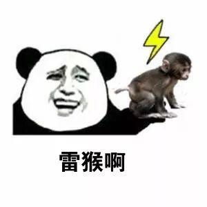  长治潞州区这个小区有猴出没,请注意