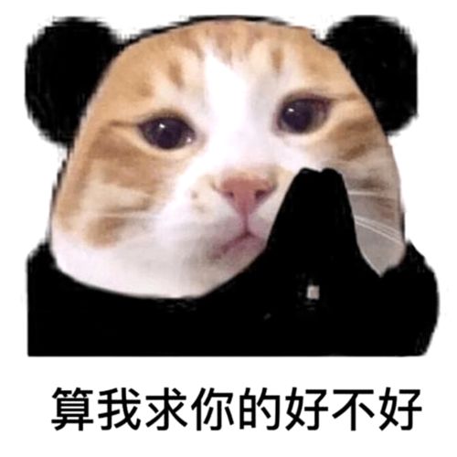  音乐节现场捡垃圾玩泥巴,这些迷惑操作是要笑死人么