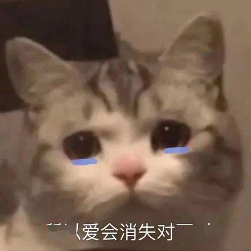  师院后遗症你究竟有多想念师院