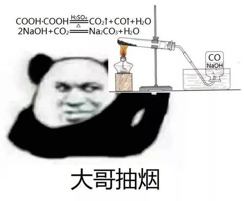  近日超火表情包给大哥献女朋友