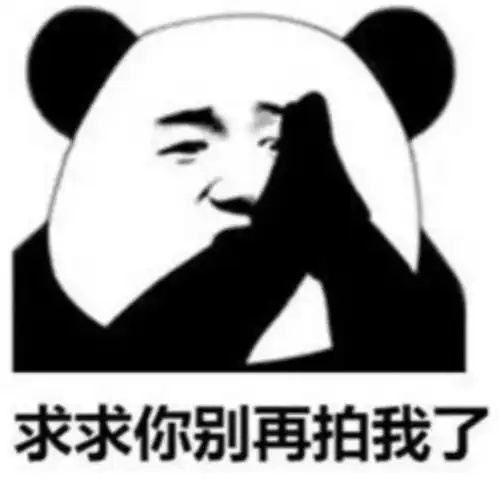  熊猫头表情包拍我就要做我老婆