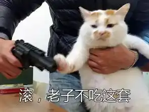  套路玩得深谁把谁当真疑似许豪杰的新账户引网友热议