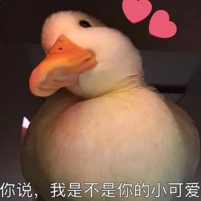 冲鸭类似的表情包红鸭