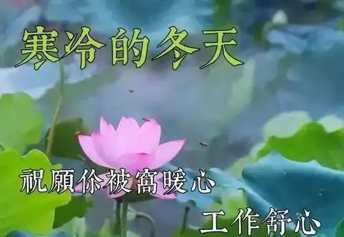  1月1日元旦最新清晨早安问候动态表情图片最美早上好祝福美图动态