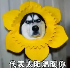  show出个性眼妆,展现不拘一格的炫彩魅力