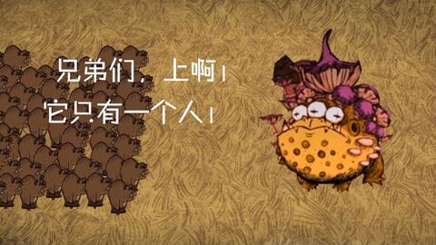  昆特牌这个蟾蜍还是很强的