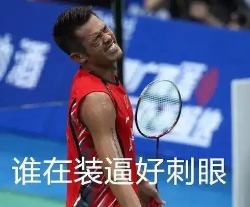  林丹退役林丹搞笑表情包,林丹搞笑动态图,林丹搞笑gif